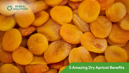 5 Amazing Dry Apricot Benefits: Your Ultimate Guide to Natural Wellness