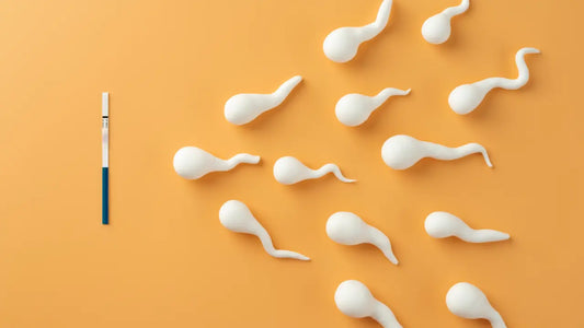 How to Increase Sperm Count: Doctor-Approved Natural Methods for 2025