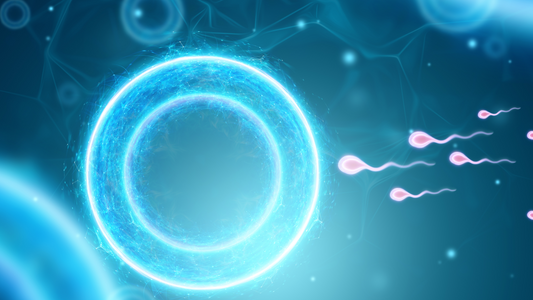 Increase Testosterone Level Naturally - Proven Methods & Herbal Solutions 2025