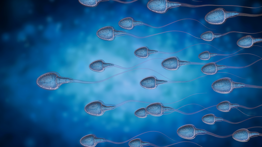 Natural Herbal Medicine for Increasing Sperm Count - Proven Solutions 2025