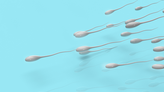 Oligospermia Treatment: Natural Herbal Solutions for Low Sperm Count