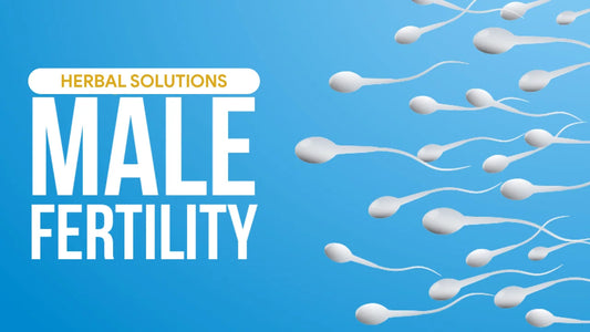Male Fertility Course Pakistan | Natural Sperm Health Solution
