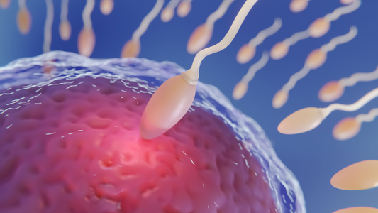 Sperm Count and Male Fertility: Natural Herbal Solutions for Enhanced Reproductive Health